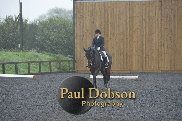 dressage-6613