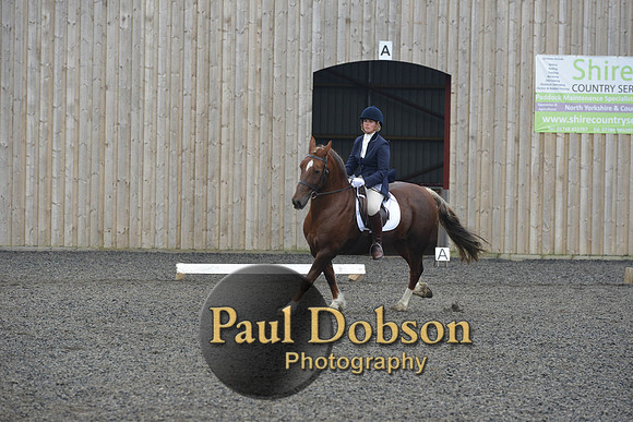dressage-5437