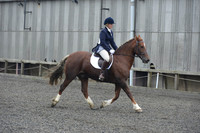 dressage-5431