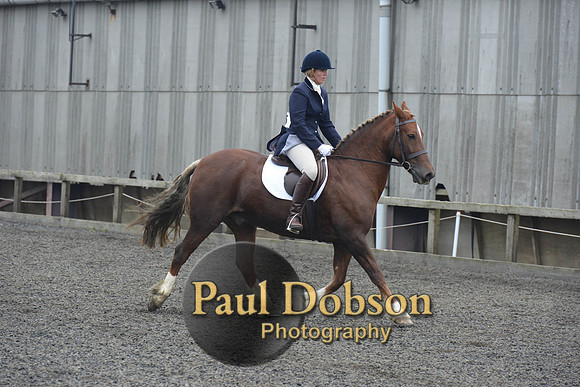 dressage-5431