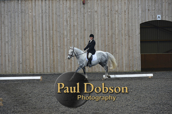 dressage-4562