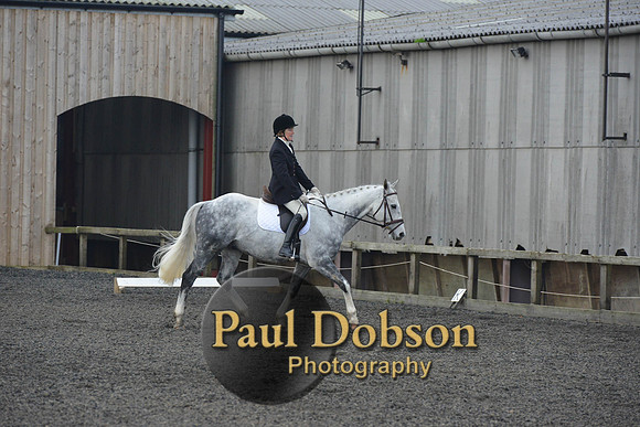 dressage-4544