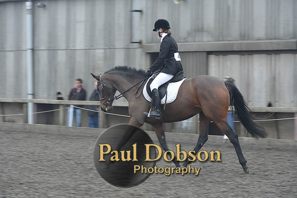 dressage-5855