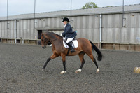 dressage-4119