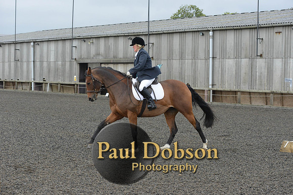 dressage-4119