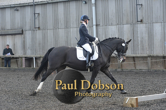dressage-7282