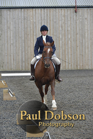 dressage-5433
