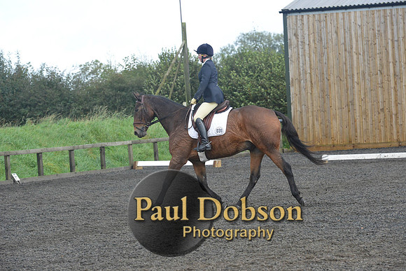 dressage-7260