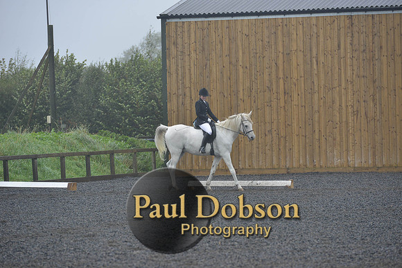 dressage-6508