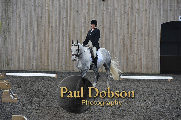 dressage-4536