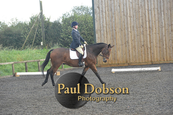dressage-7300