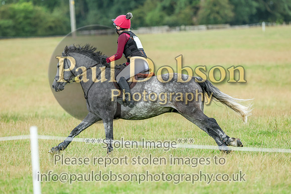 cl8a7149k