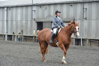 dressage-5426