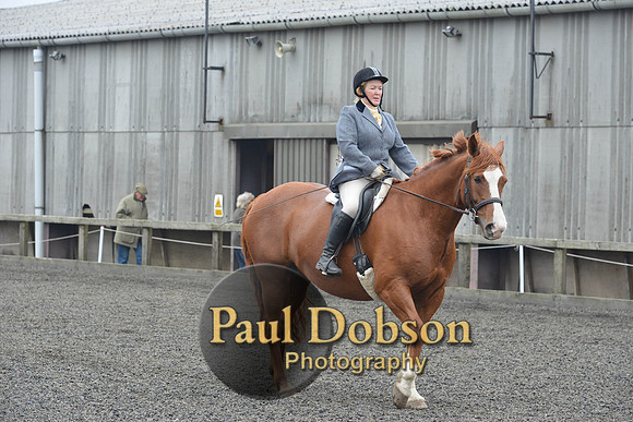 dressage-5426