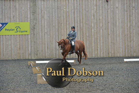 dressage-5418