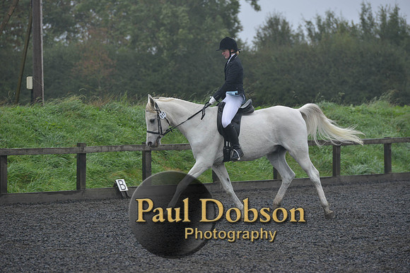 dressage-6506