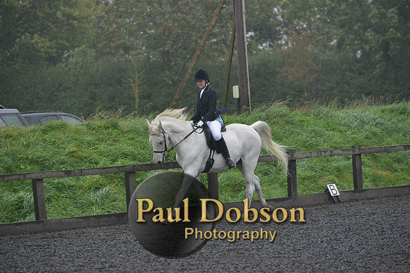 dressage-6499