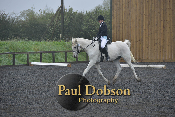 dressage-6503