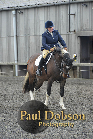 dressage-5715