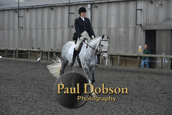 dressage-4532