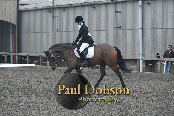 dressage-5877