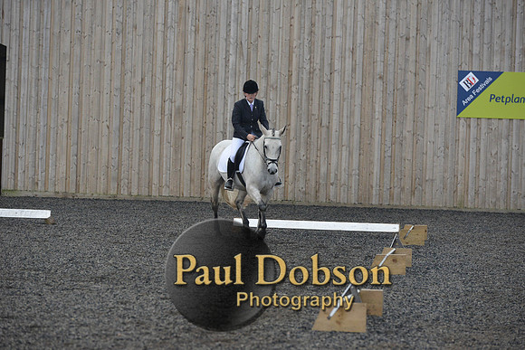 dressage-4558