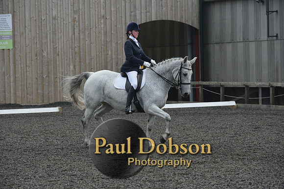 dressage-5730
