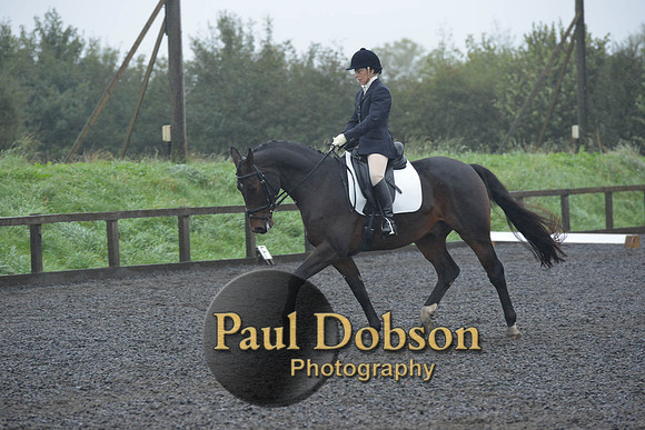 dressage-6611