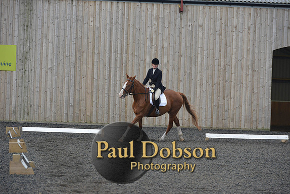 dressage-4518