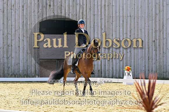 _2482946