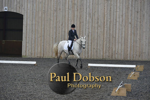 dressage-4557