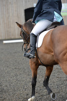 dressage-4111