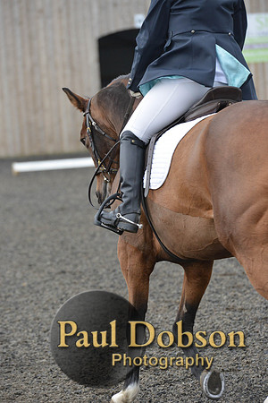 dressage-4111