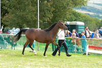 AAC_1058