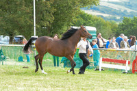 AAC_1059