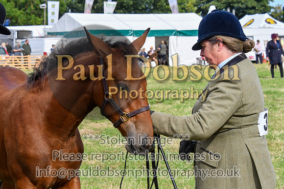 016_8555
