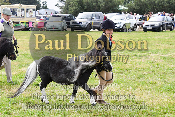 037_8891