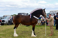 Egton Show 2023