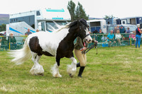 CHC_3010