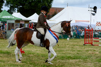 CHC_3024