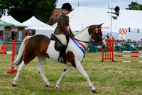CHC_3025