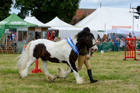 CHC_3028