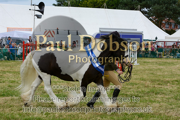CHC_3033