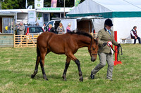 HCH_8717
