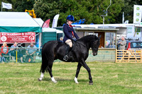 HCH_8719
