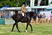 HCH_8720