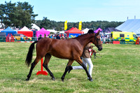 HCH_8722