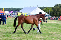 HCH_8723