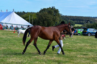 HCH_8724