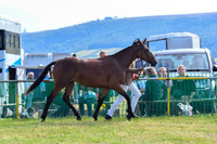 HCH_8725